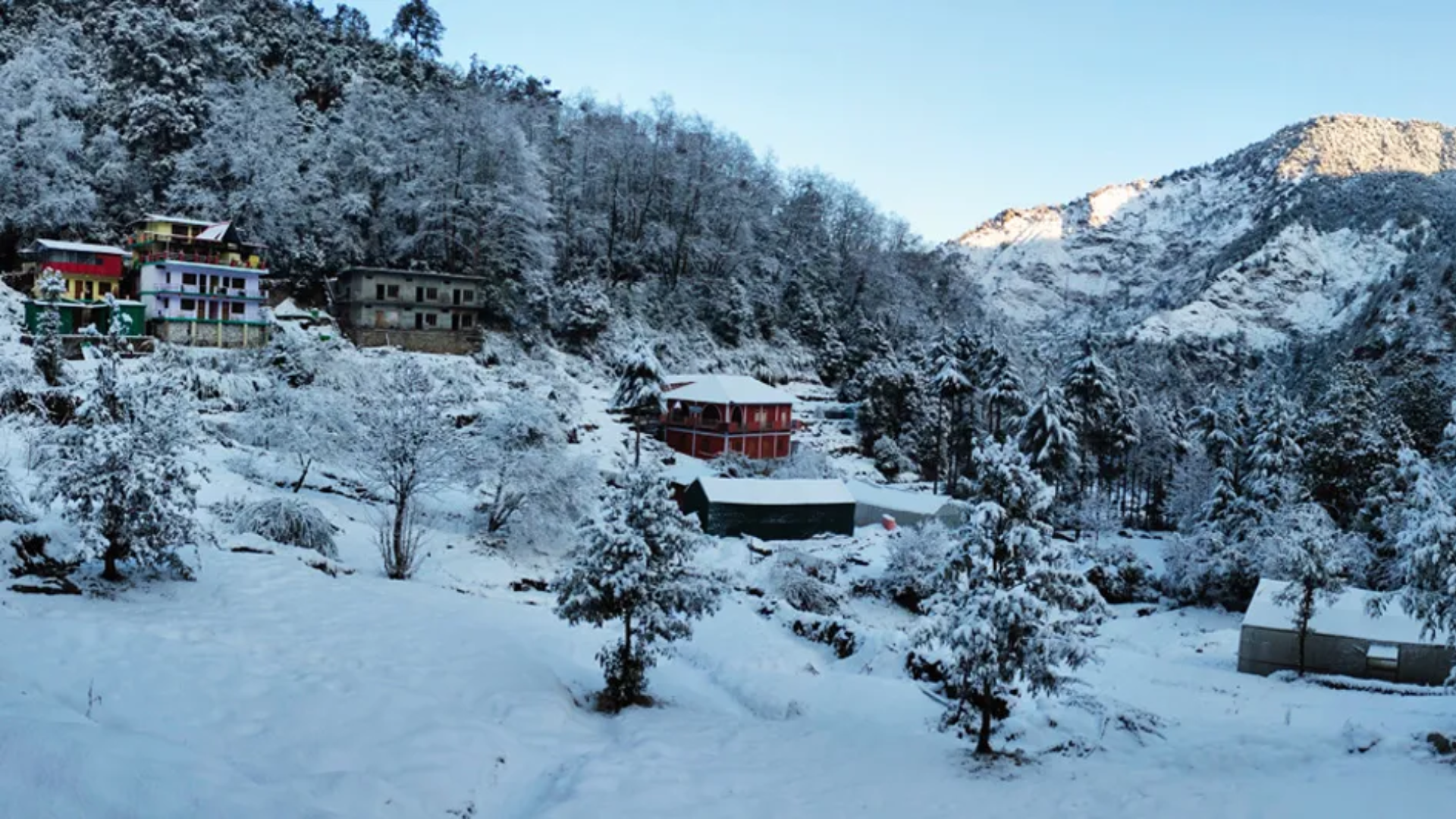 Chopta meadow base camp for Tungnath Temple trek