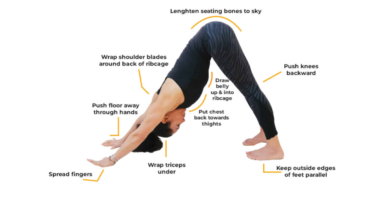 Common mistakes in downward dog adho mukha svanasana and how to fix them