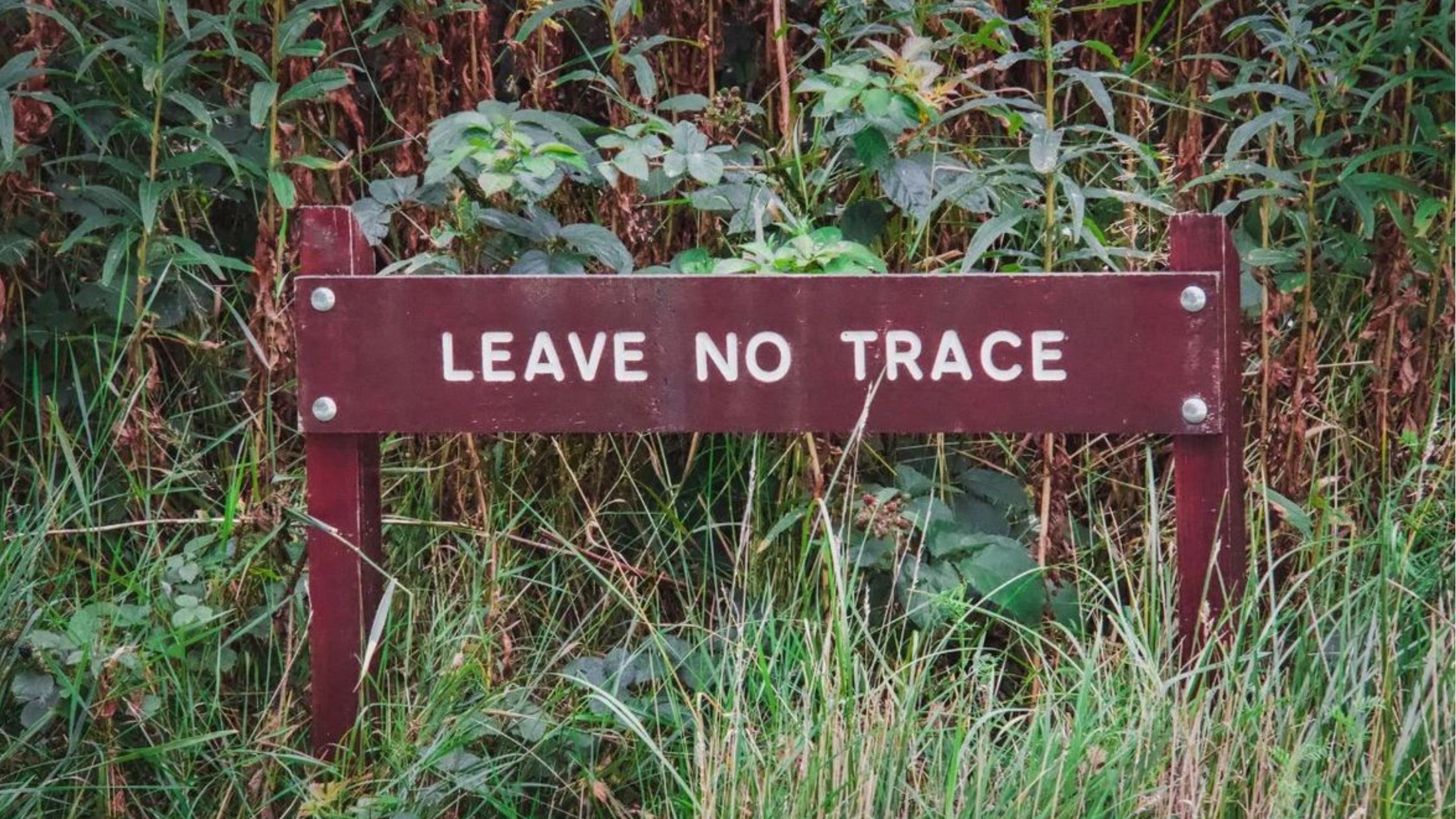 Trekkers practicing leave no trace principles by collecting waste and respecting nature on mountain trail