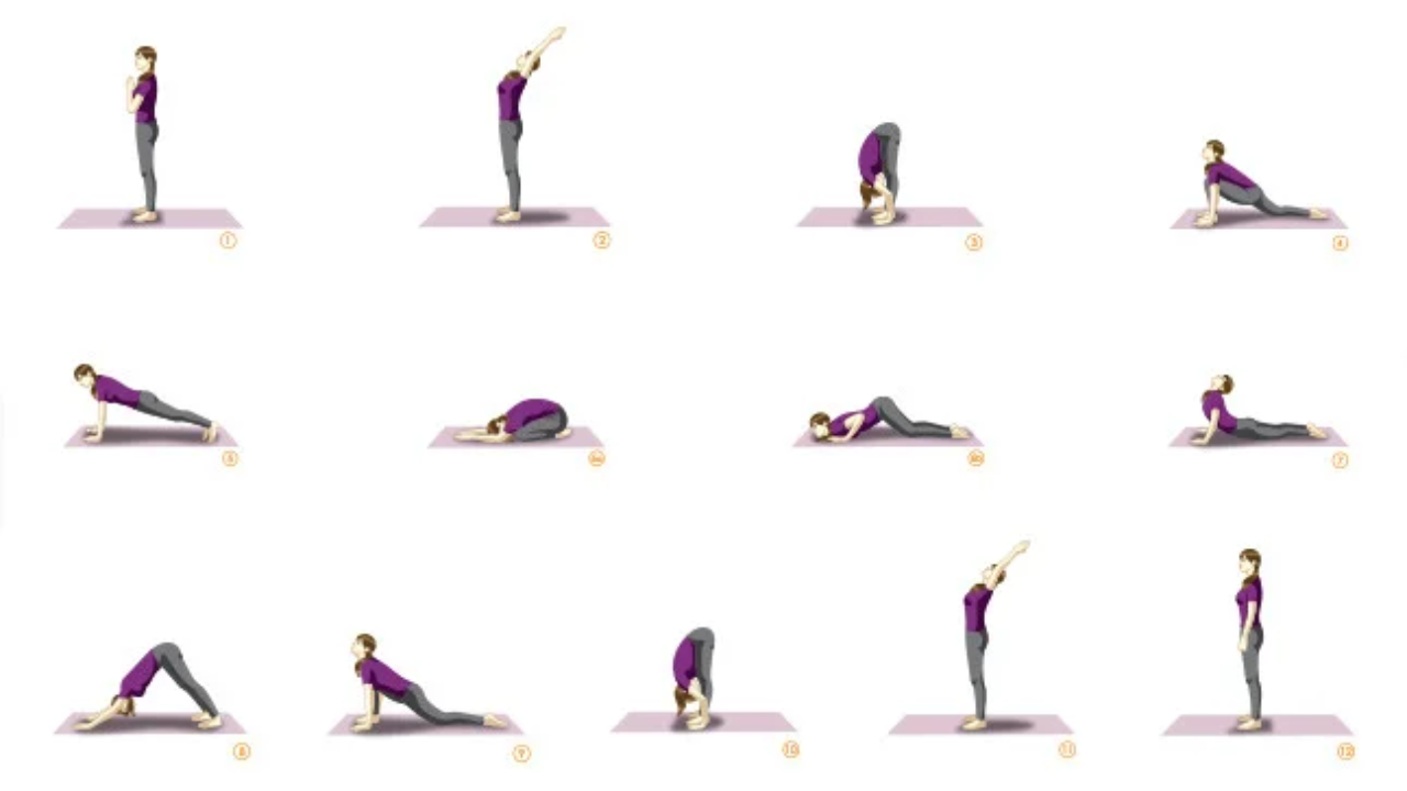 Complete daily pranayama routine schedule for weight loss