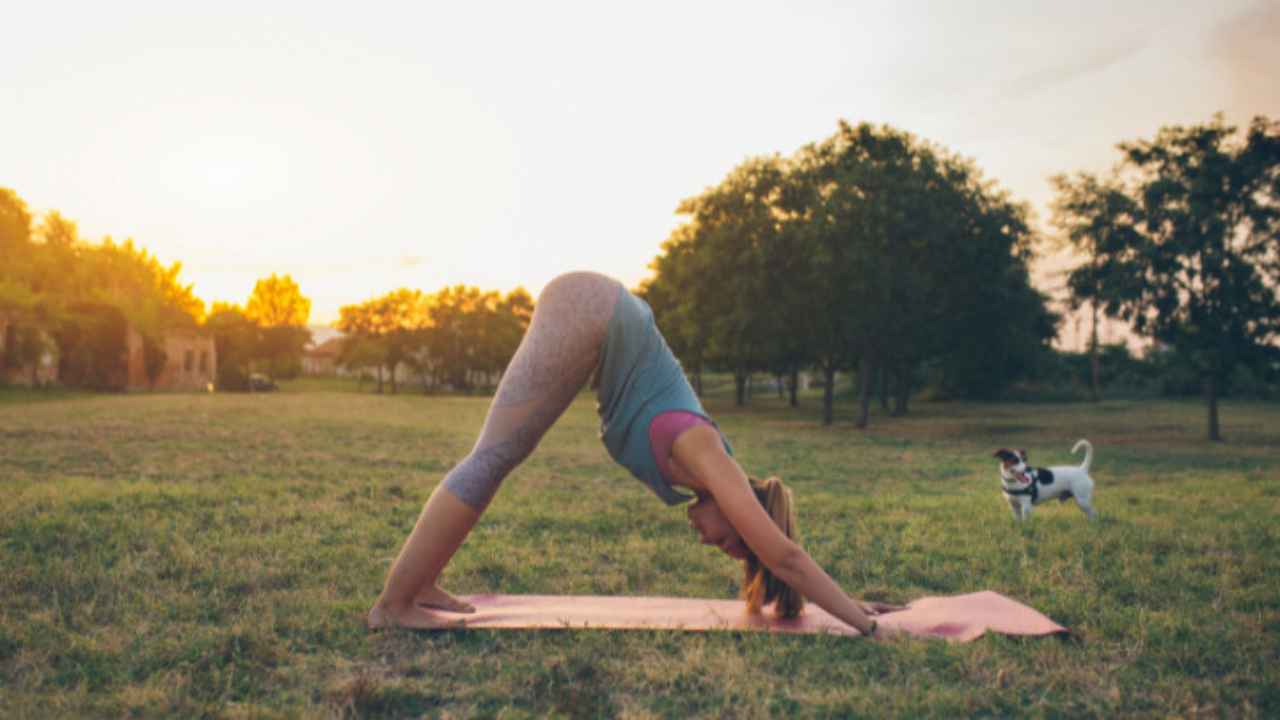 Morning yoga session at a retreat with students doing sun salutations at sunrise in an open air shala